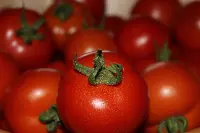 pomodori