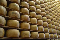 Parmigiano reggiano