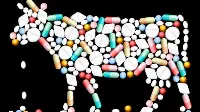 Antibiotici animali