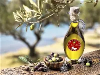 Olio di Roma: una Igp da oggi riconosciuta anche dall'Ue