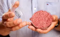 Mosa Meat