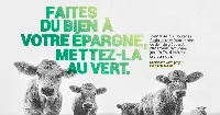Campagne print belle jupdlc
