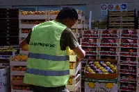 Negozio ortofrutticolo a Roma