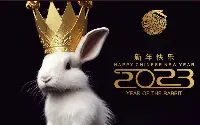 Capodanno cinese 2023 segna l'inizio dell'anno del coniglio