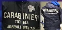 Carabinieri per la tutela agroalimentare