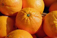 Arance