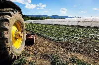 Impresa agricola
