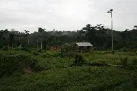 Amazzonia
