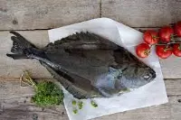 Pesce piatto