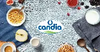 latte-candia