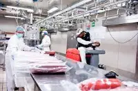 Sanificazione azienda alimentare