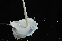 Latte Pascual