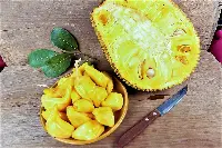 Jackfruit, o Giaco