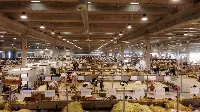Fiere Zootecniche Internazionali 2022