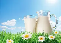 Bicchiere e brocca di latte