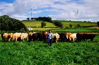 10 Years Origin Green Program