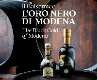 Il Balsamico - L’Oro Nero di Modena, Artioli Editore 1899