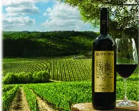 Chianti Ruffino Classico Riserva Ducale Oro Gran Selezione