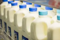 Vivici, azienda olandese di ingredienti sintetici per il latte