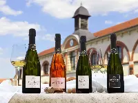 Champagne Maison Burtin