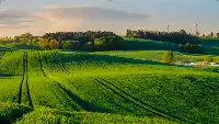 Terreno agricolo