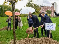 La piantumazione del primo albero
