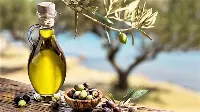 Olio extravergine Igp italiano