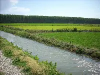 Risaia italiana in Lomellina, Lombardia