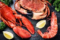 Crostacei