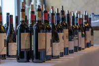 Vino-grandi-marchi