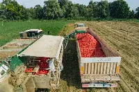 Consorzio Casalasco del Pomodoro