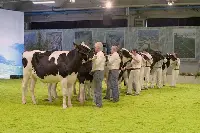 Fiera agricola e zootecnica di Montichiari