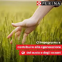 Purina progetto Lens