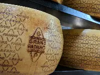 Forma di Grana Padano
