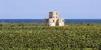 Tenuta agricola di Jaddico, Tenute Rubino