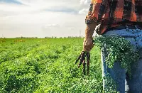 agricoltura