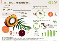Scheda olio di palma sostenibile