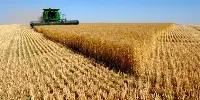 Agricoltura