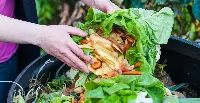 Spreco alimentare