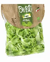 Be Bio Bonduelle