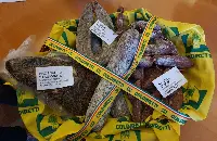 etichetta made in italy salumi