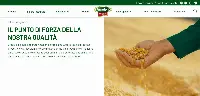 Sito web Amadori rinnovato