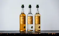 Bacardi acquisice il mezcal Illegal