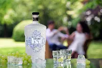 Grappa Prosecco Ice della distilleria Castagner