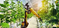 Robotica e automazione: il futuro dell'agricoltura