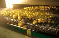 Produzione gnocchi, Buona Compagnia Gourmet
