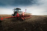 grano duro