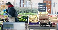 Mercati di Frutta e Verdura a Bologna