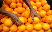 Arance Sud Africa