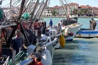 Pescherecci in porto